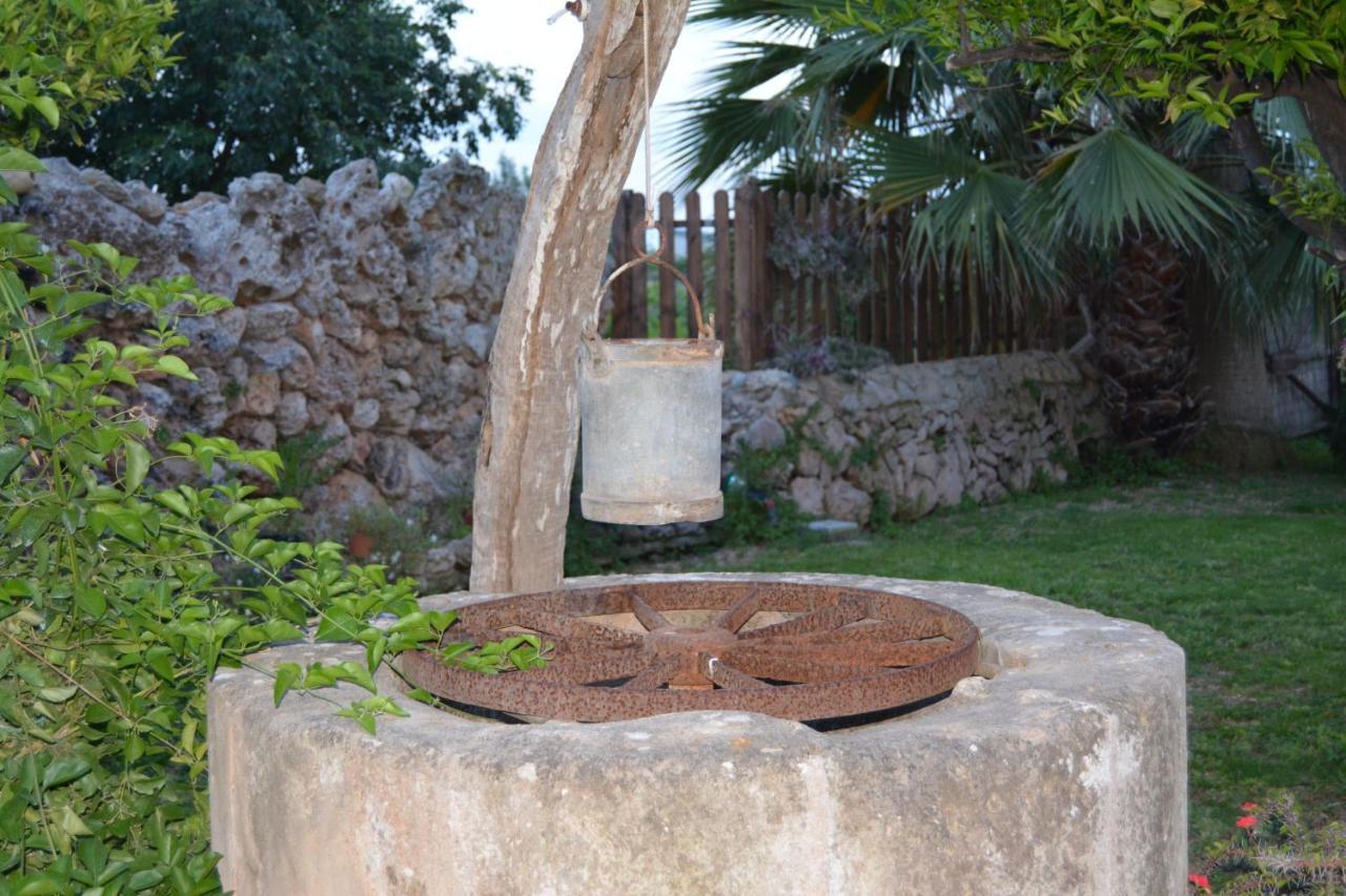 Agroturismo Finca Son Amora Palma Kültér fotó