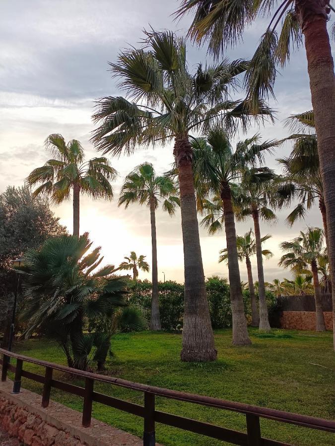Agroturismo Finca Son Amora Palma Kültér fotó